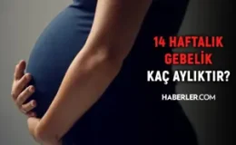 14 haftalık gebelik kaç aylık oluyor? Hamilelikte doğru bilinen yanlışlar!