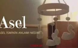Asel isminin anlamı nedir? Asel ismi Kuran’da geçiyor mu? Asel ne demek?